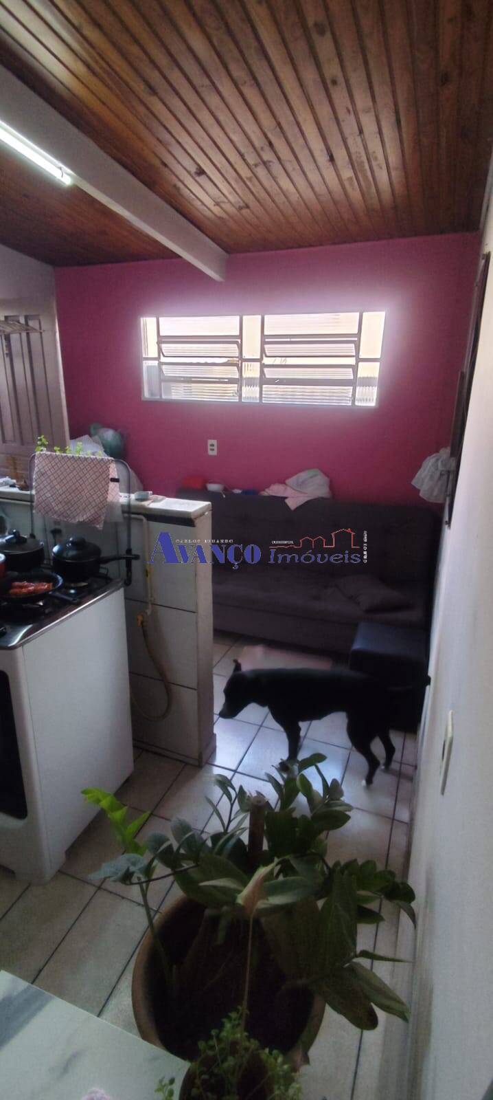 Casa, 4 quartos, 160 m² - Foto 26
